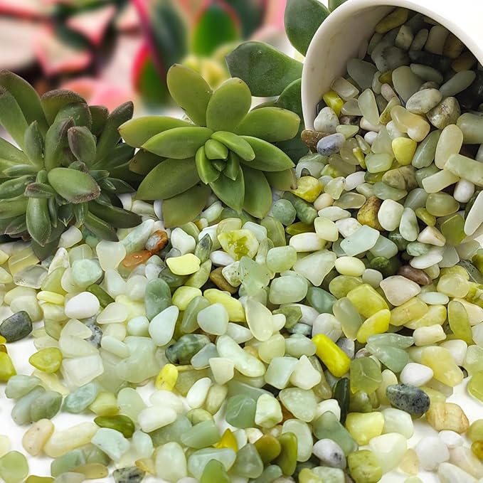 FANTIAN Jade Pebbles for Indoor Plants,1/4 Inch (3-6 MM) Polished Green Pea Gravel Small Rocks for Plants, Succulents, Cactus, Vases, Terrarium
