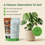 Molly's Aroid Mix - Premium Soilless Potting Mix for Houseplants - Fast Draining, Chunky & Easier to Water vs. Soil for Indoor Plants - with Bark, Coco Chips, Worm Castings, Mycorrhizae 10 Dry Quarts
