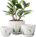 STHIE Ceramic Plant Pots with Drainage Holes and Saucers, Round White Flower Pots for Indoor Plant, Diameter 3.3/4.3/5.5 Inches Small Flower Planters Set of 3