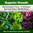 HOME GROWN 21,700+ Lettuce Seeds for Planting - 20 Heirloom Varieties, Non-GMO USA - Romaine, Butterhead, Iceberg, Leaf Lettuce, Spinach & Kale - Indoor, Outdoor & Hydroponic Garden Kit