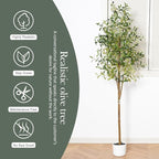 Olive Tree 6FT Fake Tree Faux Plants Indoor with Pot Artificial Tree Nearly Natural Olive Branches and Fruits for Living Room Home Office Decorations