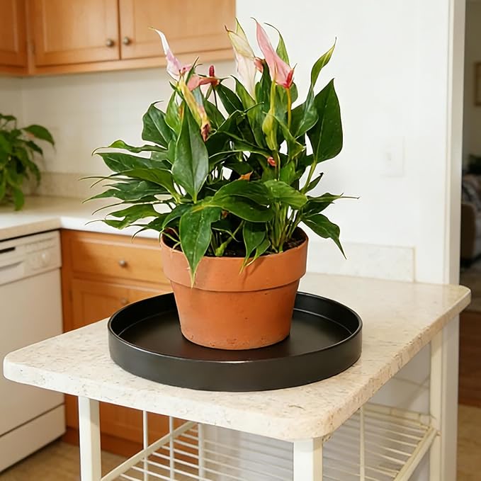 1 Pack 16 inch Plant Saucer Drip Tray, Heavy Sturdy Plastic Planter Flower Pot Drainage Tray Plate Saucers for Indoor Outdoor Garden, Plant Water Drip Trays for pots Base (16", Black)