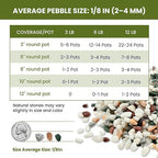 1/8 Inch Natural Aquarium Gravel, Small Pebbles for Fish Tank, Indoor Plants & Succulents, Mixed Color Mini River Rocks for Drainage, Terrarium, Top Dressing & Vase Filler, 6 lb