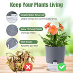 Oliz 6.3 Inch Self Watering Planter Pots for Indoor Plants, 3 Packs African Violet Pots with Wick Rope and Visible Reservoir Self Watering Planter for Herb, Houseplants