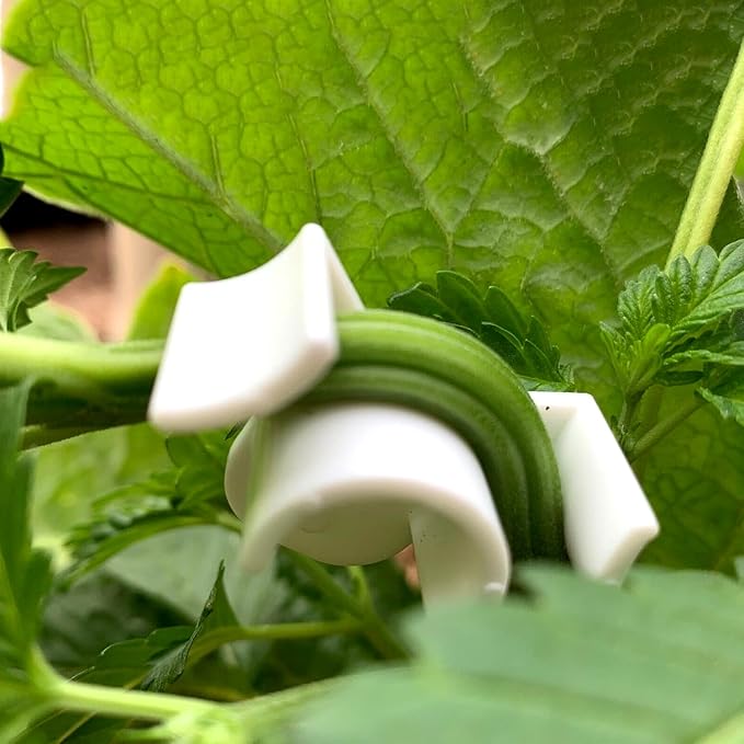 Booge 40 Pcs Low Stress Training Clips, 90 Degrees Plant Trainer Bud Plant Bender Plant Training Clips Bud Bender for Plant Gardening - White and Green