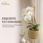 Premium Edition - Thai Natural Light Bamboo Super Sanctuary Orchid Hanging Basket 6 Inch (Set of 2)