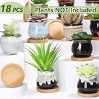 Remerry 18 Pcs Small Succulent Pots Bulk with Drainage 2.5 Inch Assorted Mini Ceramic Succulent Planters Pot with Coaster Bamboo Plant Tray Planting Pots for Home Office Garden
