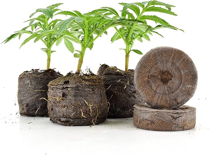 MAUI MIKE'S - Indoor Cherry Tomato Seed Grow Kit- Jiffy 7's Starter Soil Wafers - 5 Gallon Soft Pot Grow Bag- Step by Step Instructions - Grows Indoors or Outdoors - Non GMO Seeds- Makes a Great Gift.