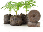 MAUI MIKE'S - Indoor Cherry Tomato Seed Grow Kit- Jiffy 7's Starter Soil Wafers - 5 Gallon Soft Pot Grow Bag- Step by Step Instructions - Grows Indoors or Outdoors - Non GMO Seeds- Makes a Great Gift.
