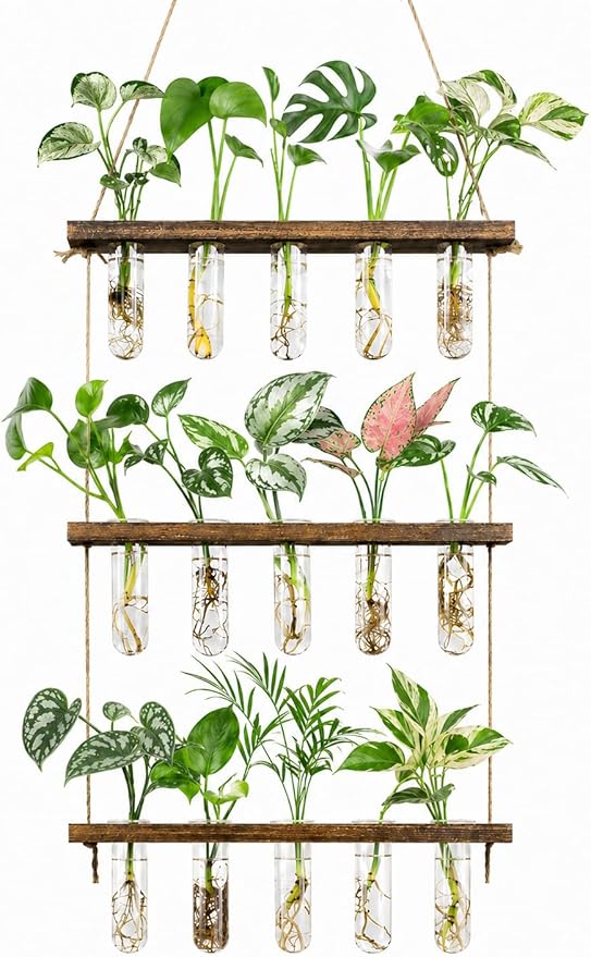 3 Tier Wall Hanging Propagation Stations with 15 Glass Test Tubes, Plant Terrarium Propagation Tubes Planter for Hydroponic Cuttings, Window Decor Gift for Plant Lovers