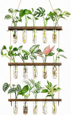 3 Tier Wall Hanging Propagation Stations with 15 Glass Test Tubes, Plant Terrarium Propagation Tubes Planter for Hydroponic Cuttings, Window Decor Gift for Plant Lovers