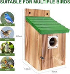 4-Pack Blue Wooden Bird Houses for Outdoors with Predator Guard, Bluebird Houses for Outside – Ideal for Bluebirds & Other Backyard Birds, Green