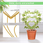 Hoya Trellis 3 Size Indoor Plants Flower Support Stakes Round or Heart Metal Trellis Set Garden Tool Accessories for Small Potted Vine Climbing Houseplants (GoldenH)