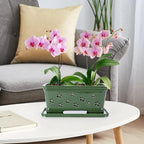Ceramic Orchid Pot 10 * 4.3 * 4.3Inch Orchid Planter with Holes for Repotting Indoor Flower Plant Pot with Drainage and Saucer, Arctic Green