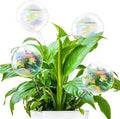 Pynqdfu 4 Pcs Plant Watering Globes,Rainbow Gradient Glass Watering Devices,Self Watering Planter Insert Plant Accessories for Indoor,Outdoor,Flowerpot,Hanging Plants,Home Garden,8.7" L×2.8" D