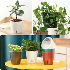 Self Watering Pots for Indoor Plants, 6-Pack 5'' Self Watering Planter with Drainage Holes, Small African Violet Pots with Water Indicator, Clear Wick Orchid Pot, Black