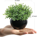 Velener Fake Sage Plants for Shelf Decor, Small Artificial Succulents Grass Desk Plant for Office Women, Mini Faux Plant Indoor, Masculine Home Decor, Coffee Table Decor, Bathroom Decor (2 Pack)