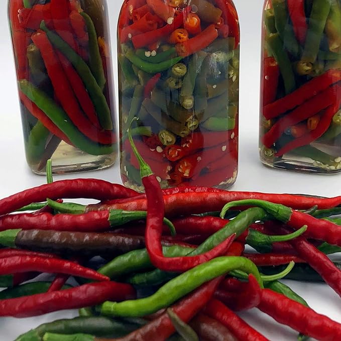 Bonnie Plants Hot Cayenne Pepper 19.3 oz. 4-Pack