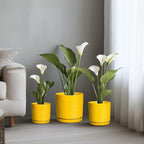 8 Inch Plant Pot, Ceramic Pots for Plants with Drainage Hole and Sacuer, Round Flower Pots for Indoor Outdoor Plants, Modern Decorative Planter, Table Decor, Plant Gifts for Women, Yellow
