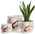Ceramic Plant Pots with Drainage Holes and Saucers, Round Flower Pots for Indoor Plant, 4/5.2/6.6 Inches Small Flower Planters Set of 3