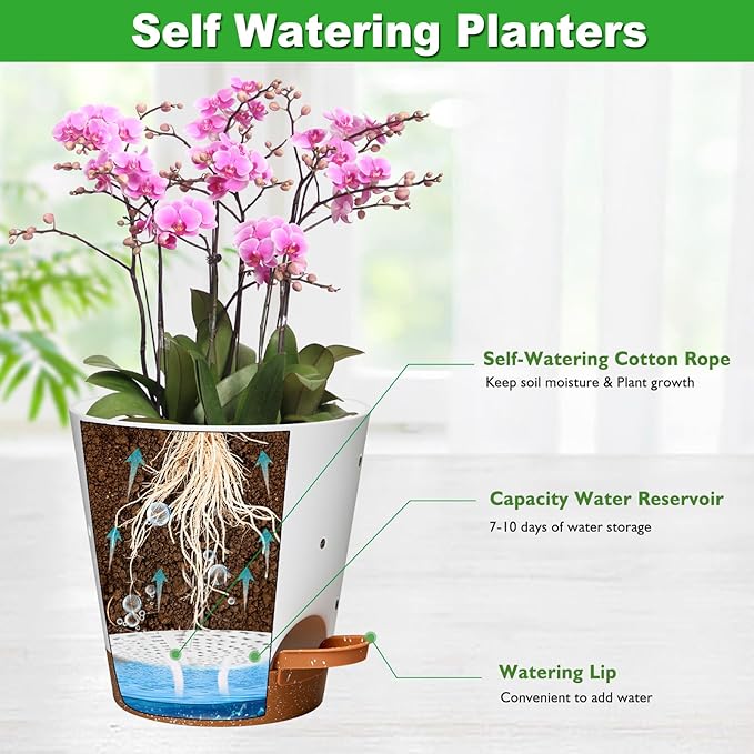 Vanslogreen Orchid Pots with Holes, 6 Inch Self Watering Orchid Pot 2 Pack Plastic Plant Pots for Orchid, Flower (White+Brown)