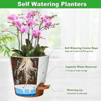 Vanslogreen Orchid Pots with Holes, 6 Inch Self Watering Orchid Pot 3 Pack Plastic Plant Pots for Orchid, Flower (Multicolor)