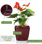 Dexceder 9x8 Self Watering Planter Indoor Outdoor, Inner Mat Design, Thickened Table Flower Plant Pot with Water Level Indicator (Red High Gloss)