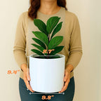 Fox & Fern Plant Pot, Large Plant Pots for Indoor & Outdoor, UV & Frost Resistant Plant Vase with Drainage Plug, Fiberstone, Large Indoor Pots for Plants & Flowers, House Indoor Plant Pot, Single Pot