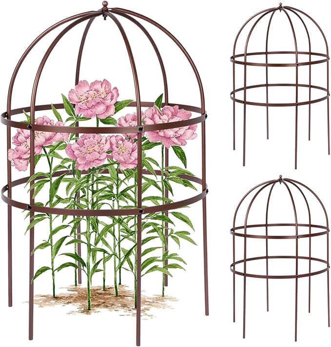 2 Pcs Jardin Bird Cage Plant Support 24" H Large Sturdy Grow-Through Flower Support Peony Cage Climbing Plant Support Trellis Sculptural Garden Decor for Perennial Flowers (Vintage Gold)