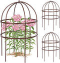2 Pcs Jardin Bird Cage Plant Support 24" H Large Sturdy Grow-Through Flower Support Peony Cage Climbing Plant Support Trellis Sculptural Garden Decor for Perennial Flowers (Vintage Gold)