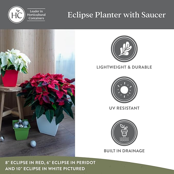 The HC Companies 6 Inch Eclipse Square Planter Pots with Drainage Holes & Attached Saucer, Lightweight UV-Resistant Plastic Indoor Outdoor Planters, 4-Pack Flower Pots for Garden & Home Decor, Rose