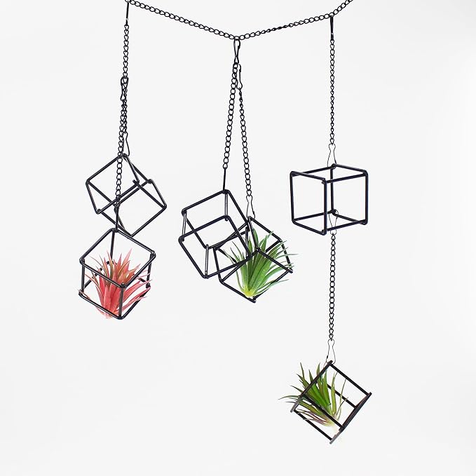6 Pack Metal Hanging Air Plant Holders - Geometric Black Cube Tillandsia Hangers with Long Chains, Wall or Ceiling Mount for Small Air Plants, Home & Office Boho Decor (Individual or Combined Use)