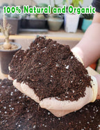 TOYPOPOR Potting Soil for All Indoor Houseplants, (3qt) Contains Perlite, Peat Moss, Coco Coir and Rice Charcoal, Well Draining Potting Mix Light, Aerated Texture for Healthy Plant Roots, Fast Growth