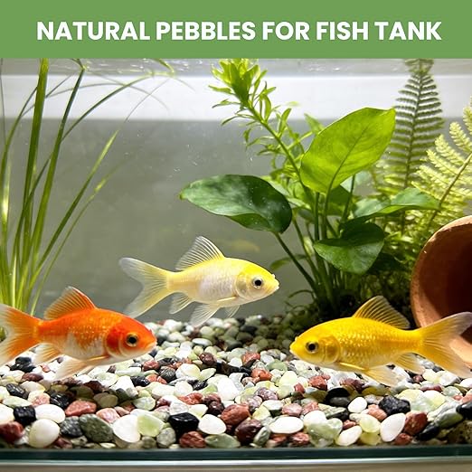 Gravel for Plants, 3/8 Inch Pebbles Polished Decorative Aquarium Gravel - Small River Rocks for Fish Tank, Succulent, Vase, Bird Bath, Garden Landscaping and Top Dressing-3LB