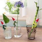 6PCS Plant Propagation Buddy, Plant Cutting Holders for Sprouts and Stems, Plant Supports Come with Colorful & Christmas Hats, Ideal for Decorating Indoor Garden and Propagation Station (Red)
