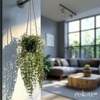 3 Packs Fake Hanging Plants with Black Pots, 18.5" Artificial Hanging Plants for Wall Decor, Fake Plants Mandala Vine Indoor/Outdoor for Home Bathroom Bedroom Kitchen Office Room Decor