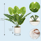 Set of 2 Indoor Artificial Fiddle Leaf Fig Trees – Realistic Green Faux Plants in Pots, Tall Decorative Fake Plant for Home or Office, Low Maintenance, 17.7 Inch Display-Ready