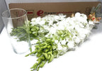 eflowerwholesale - Premium Cut White Orchids (20 stems with Vase) (Support Small Business)
