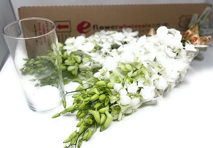 eflowerwholesale - Premium Cut White Orchids (20 stems with Vase) (Support Small Business)