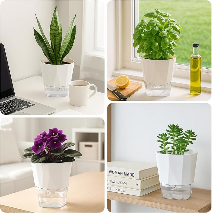 6 Pack Self Watering Plant Pots 6 Inches Self-Watering Planters for Indoor and Outdoor Plants African Violet Succulent Pots Clear Pot for Plants Large Herb Orchid Flower Houseplant Plant, White