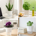 12 Pack Self Watering Plant Pots 6 Inches Self-Watering Planters for Indoor and Outdoor Plants African Violet Succulent Pots Clear Pot for Plants Large Herb Orchid Flower Houseplant Plant, White