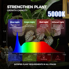 Barrina LH750 Pegboard Indoor Greenhouse with Grow Light, Plant Cabinet with 4PCS 5000K Full Spectrum Grow Lamps, 3 Adjustable Pegboards, 2 Racks, Wheel, for Foliage Plant, Seedling, 29.5x13.8x67.9IN