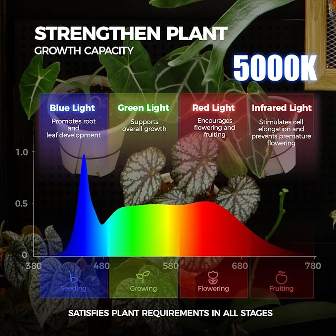 Barrina LH750 Pegboard Indoor Greenhouse with Grow Light, Plant Cabinet with 4PCS 5000K Full Spectrum Grow Lamps, 3 Adjustable Pegboards, 2 Racks, Wheel, for Foliage Plant, Seedling, 29.5x13.8x67.9IN