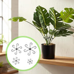 JJUNW 12 Pack Climbing Houseplant Stem Supports, Reusable Plastic Plant Stem Holders Hook Growth Accessories for Indoor Outdoor Plants (Black)
