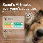 PETLIBRO AI Pet Camera Indoor with Phone App, 360° Auto Tracking Dog Camera for Home Alone Pets, Multi-Pet Recognition, Smart Summaries, AI Activity Detection, 2-Way Audio, Color Night Vision