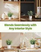 Taybonds Artificial Eucalyptus Plants in White Ceramic Pots, 2 Pack Faux Greenery Decor with Different Leaf Styles, Small Potted Plants for Shelf, Bathroom, Bedroom, Office Desk, 9.05" Tall