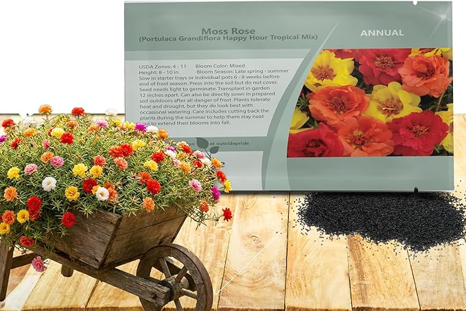 Outsidepride Tropical Mixed Moss Rose Seeds - 500 Pcs Annual, Drought & Heat Tolerant, Pollinator Friendly Ground Cover Seeds for Planting w/Vibrant Blooms & Succulent Foliage, Ideal for Xeriscaping
