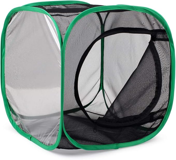 RESTCLOUD Insect and Butterfly Habitat Cage Terrarium Pop-up 12 X 12 X 12 Inches