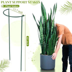 Tioncy 6 Pcs 60 H x 19.69 W Plant Support Stakes Cages for Garden, Metal Half Round Plants Tension Rods for Indoor Outdoor Large Tall Flower Vegetables Tomato Peony Rose Support