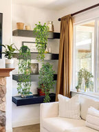 RECUTMS Fake Hanging Plants with Pots 3 Pack Artificial Ivy Vine Fake Potted Eucalyptus Plants Mandala Ivy Vine Leaves Pea Pod Summer Home Room Shelf Wall Indoor Outdoor Wedding Graduation Decor